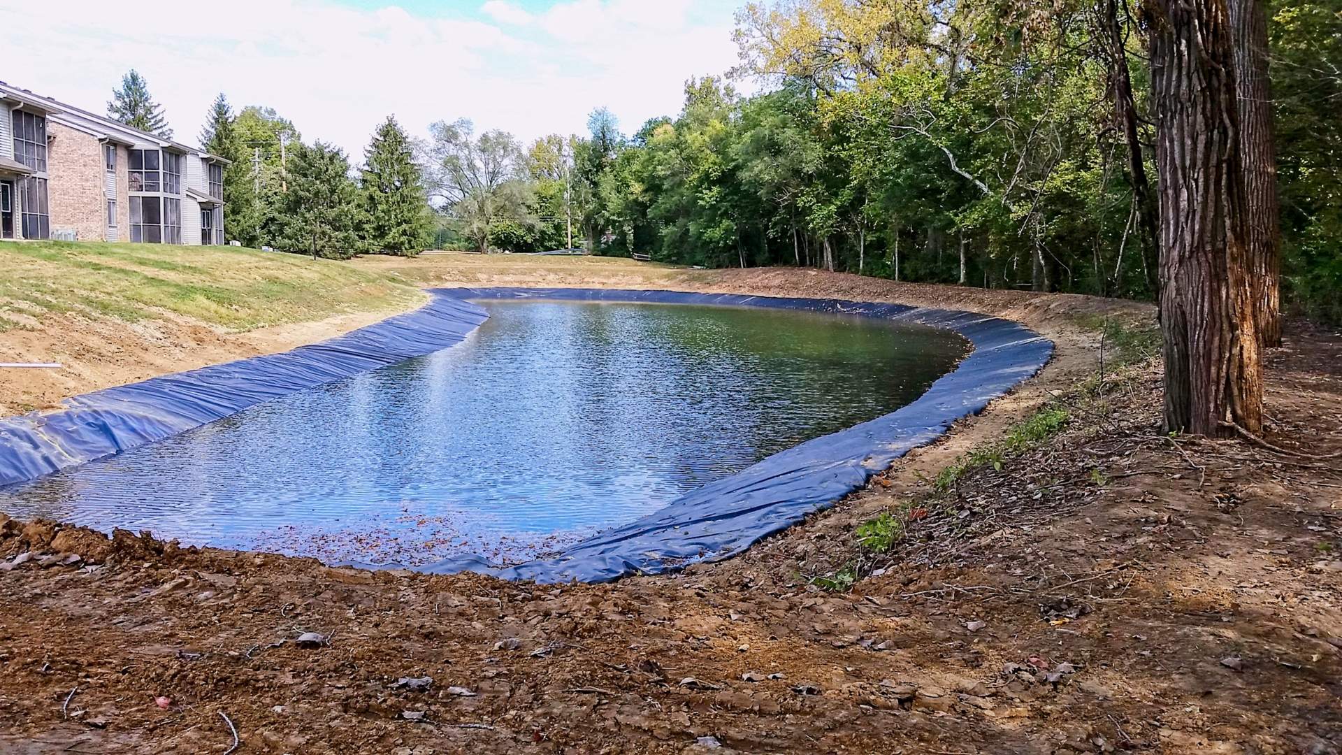 Bioretention Pond Design: Effective Stormwater Management