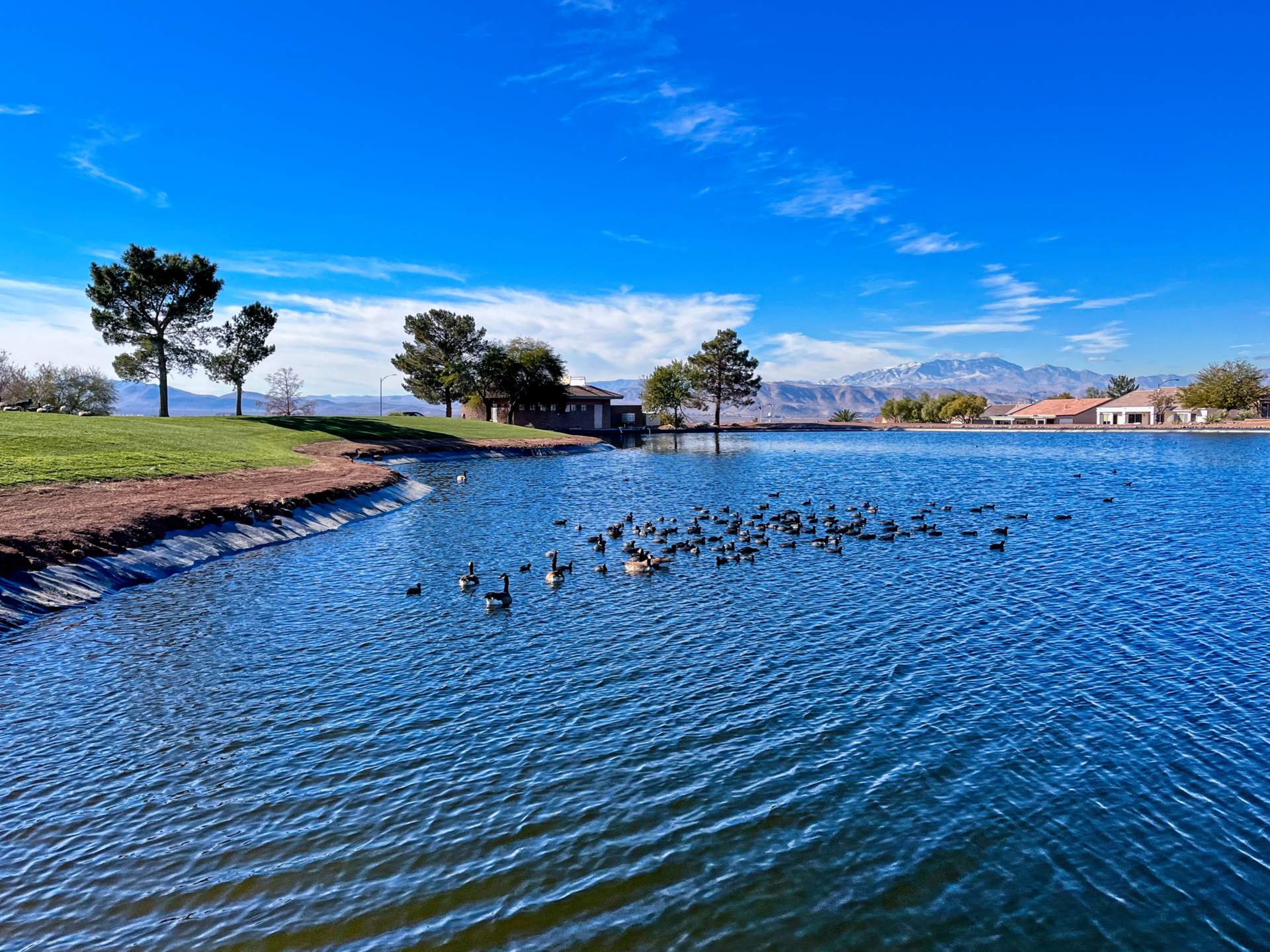 Golf Course Pond