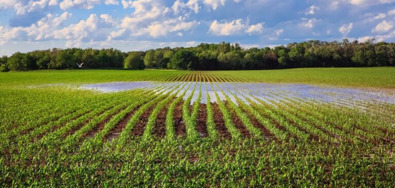 What To Consider When Choosing a Farm Irrigation System