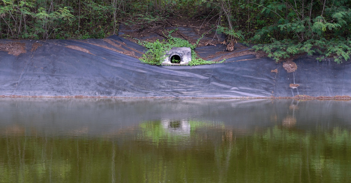 A stormwater retention pond lined with black plastic at the edge of a forest with a concrete outflow pipe visible.