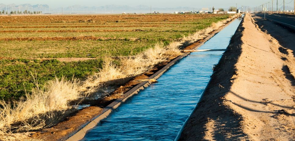 Benefits of Irrigation Canals in Agriculture