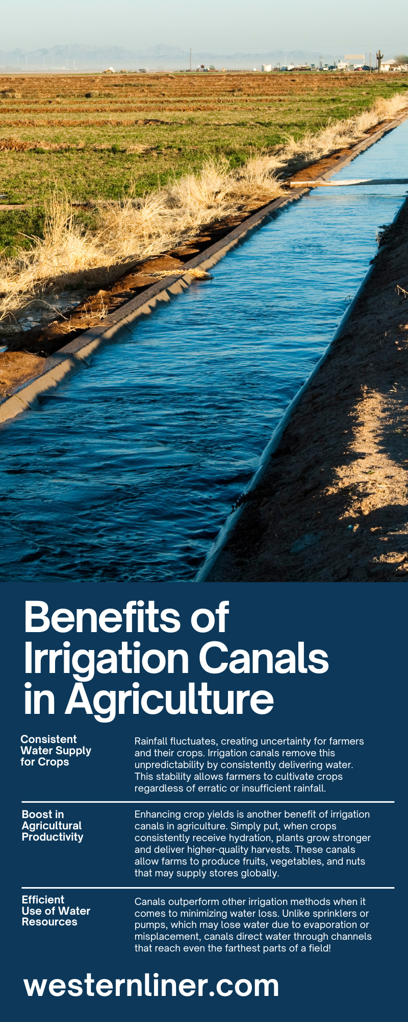 Benefits of Irrigation Canals in Agriculture
