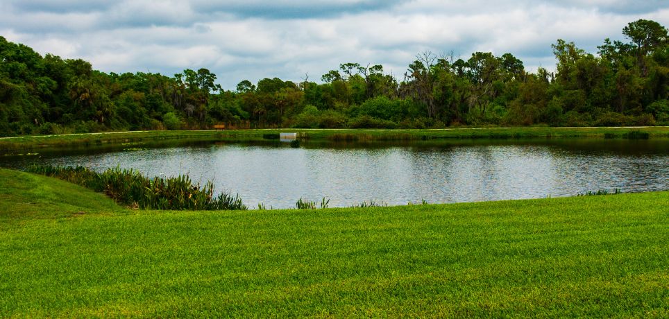 The Role of Retention Ponds in Green Infrastructure