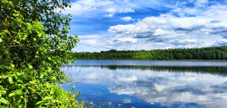 The Role of Geomembrane Liners in Protecting the Environment
