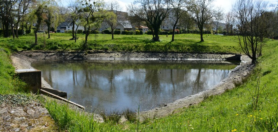 Tips To Maintain and Care for Your Lake Liner