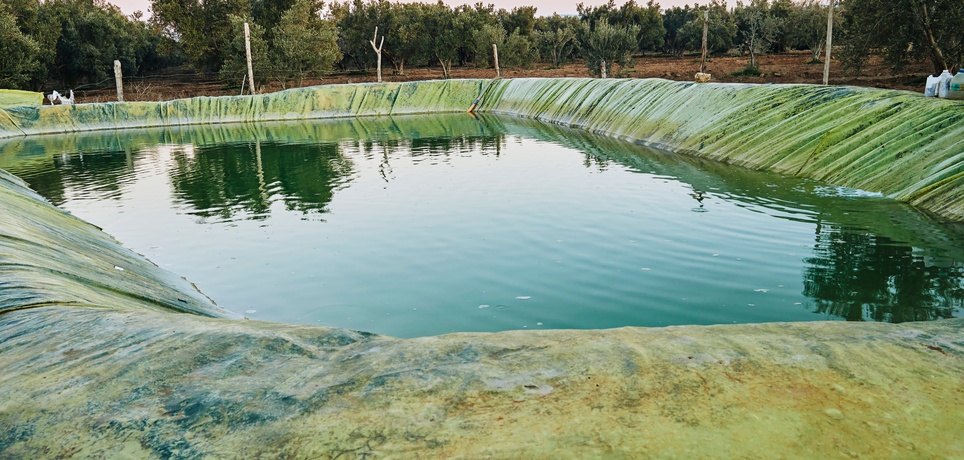 A lined irrigation pond filled with green water, surrounded by dirt, trees, and a partially fenced area.