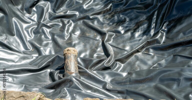 PVC vs. EPDM: Which Pond Liner Is Best for You?