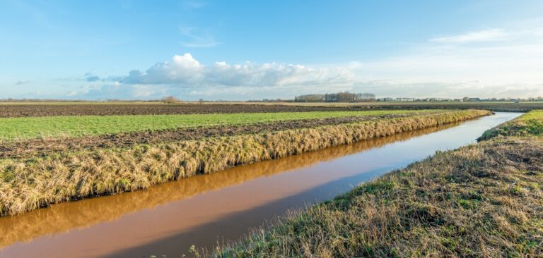 The Process of Building Functional Ditches