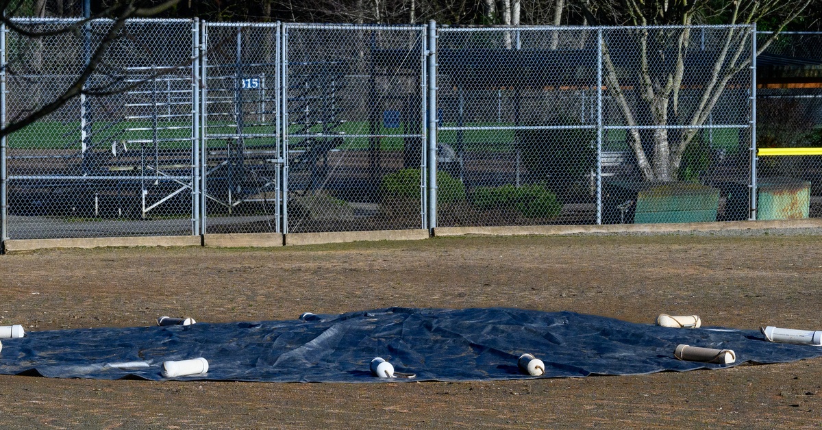 A pitching mound on a baseball field has a dark-colored tarp over it. White weights secure the tarp.