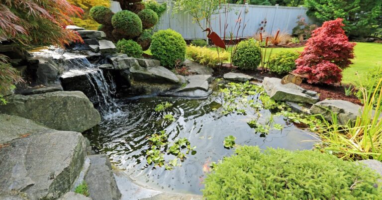 Top Tips for Effective Water Storage Pond Design