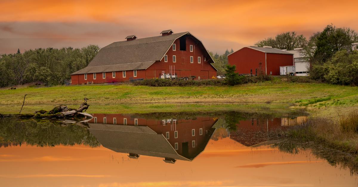 A large pond sits on farmland. Two large red barns sit behind the pond, and the sun rises over the barns.
