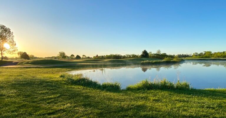 What Happens if Water Gets Under the Pond Liner?