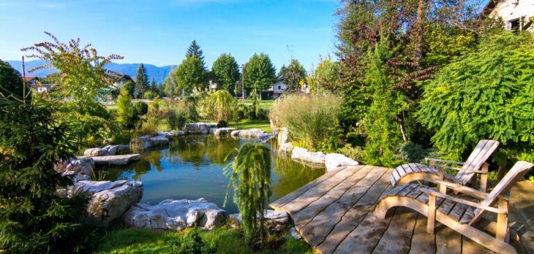 How To Keep You Backyard Pond Clean and Clear