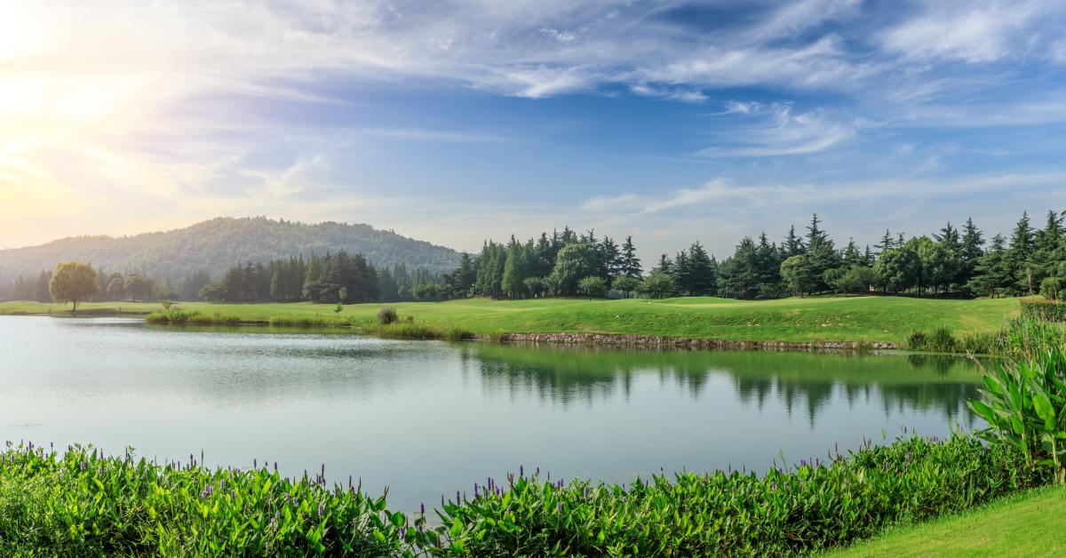 A large lake is surrounded by tall greenery and green grass. Mature trees appear in the background.