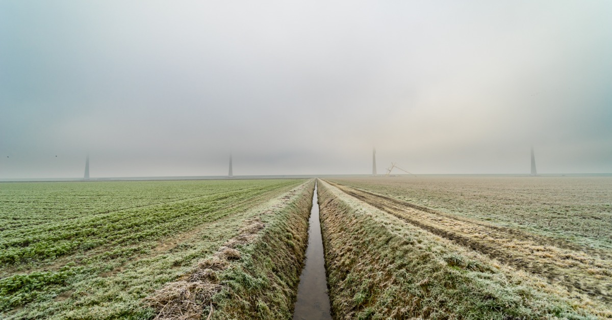 A skinny irrigation ditch is filled with water and flows between two farming fields that are growing crops.