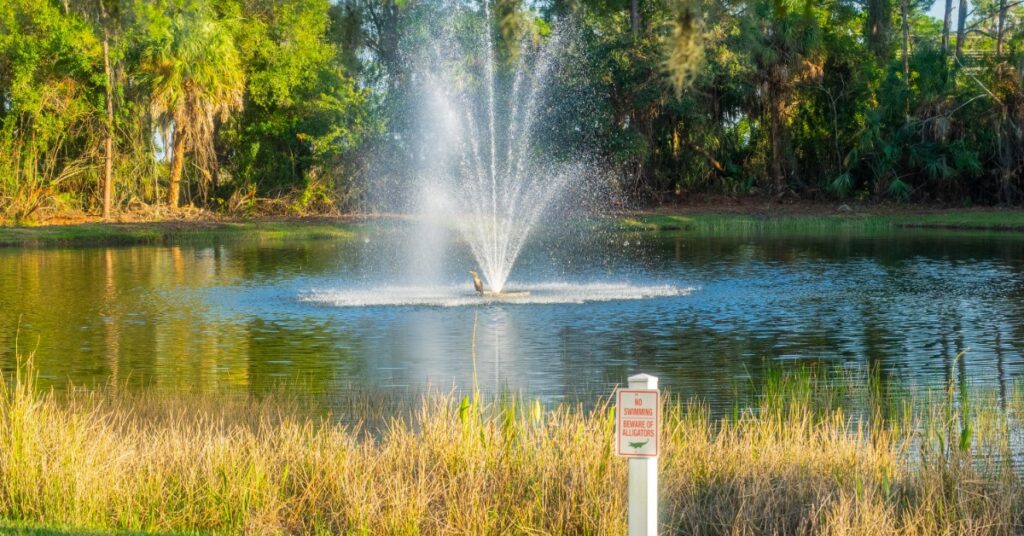 A retention pond filled with water has a water fountain spraying water into the air in the middle. Trees and grass surround it.