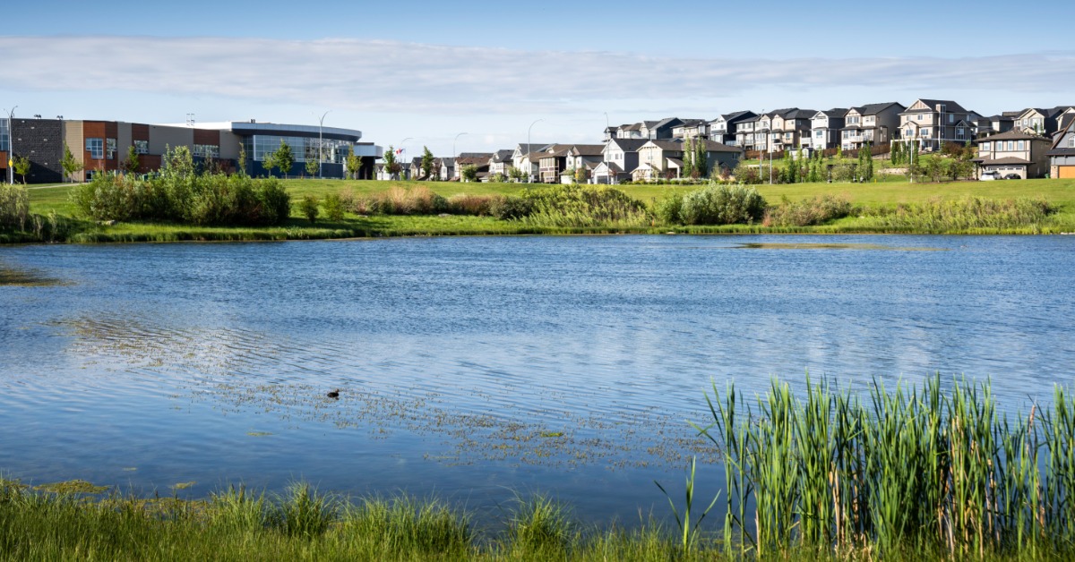 A large retention pond is surrounded by tall, green grass. A school and homes are in the background.