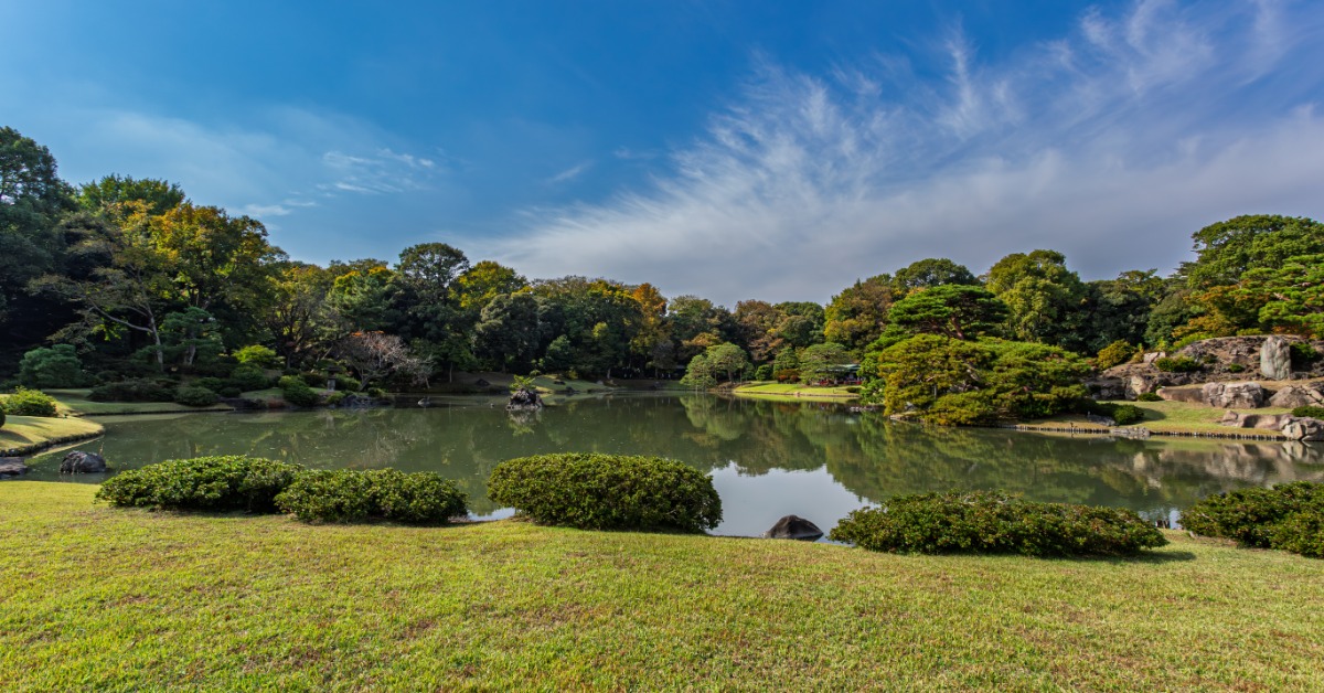 A large pond is in a rural area surrounded by green grass, shrubs, rocks, and mature trees with green leaves.