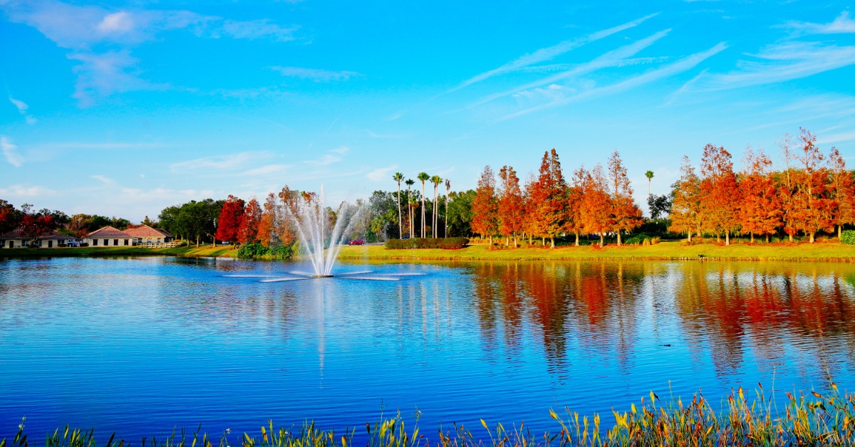 A large fountain sits in the middle of a pond. Trees with red leaves and green grass surround the pond.