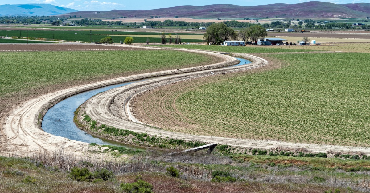 An irrigation ditch makes an S-curve through a field of crops that are growing. Farms appear in the background.